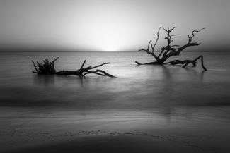 Boneyard Bedtime Boneyard Bedtime