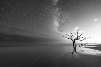 Starry Night Starry Night