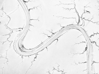 "Wadden Sea #1" "Wadden Sea #1"