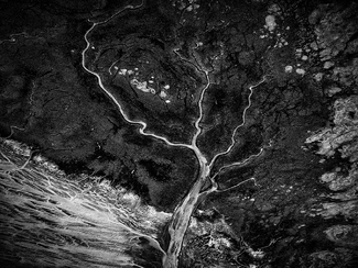 "Wadden Sea #2" "Wadden Sea #2"