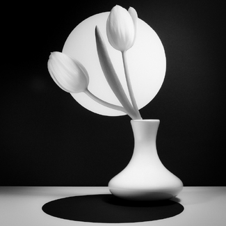 Still life#3 Still life#3