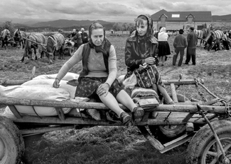 Farmers Market Farmers Market