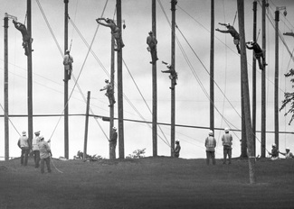 Catch a Falling Star Catch a Falling Star