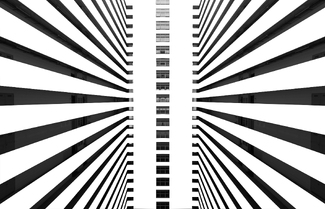 Vortex Vortex
