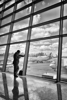 Wings and Cages Wings and Cages