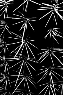 Multiple stars Multiple stars