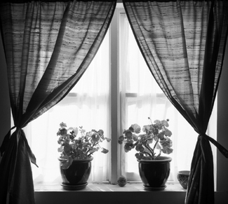 Mom Always Kept Geraniums Mom Always Kept Geraniums