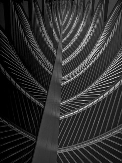 Branching Out II Branching Out II