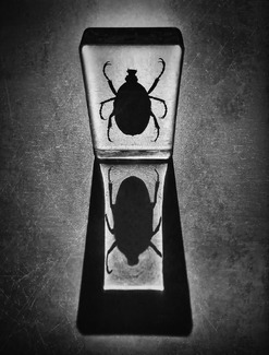 B. Al Zabug B. Al Zabug