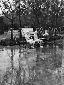 Cleansed by the Rain Cleansed by the Rain
