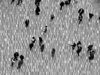 Pedestrians Crossing Pedestrians Crossing