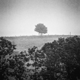 alone on the hill alone on the hill