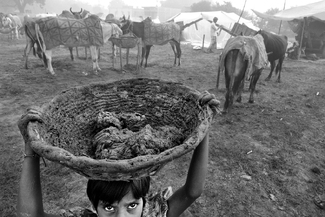 Child Worker Child Worker
