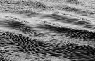 In the Wake #2 In the Wake #2