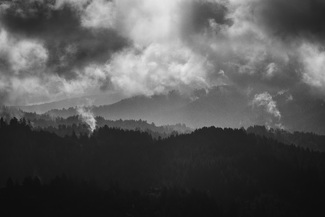 Pescadero Fog Pescadero Fog