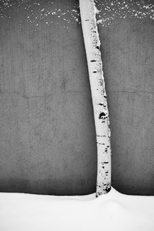 Aspen and Adobe Aspen and Adobe