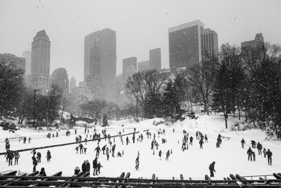 The Wollman Rink, Central Park as the Snow Fell