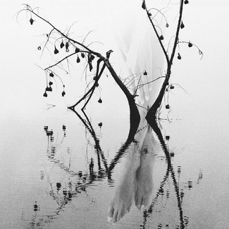 Misty thoughts Misty thoughts