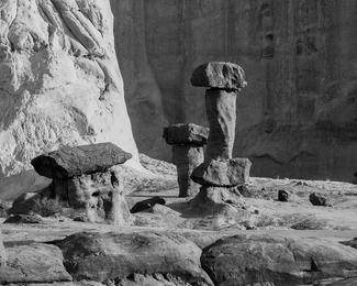 Toadstools of Southern Utah