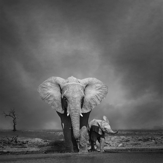 Like Mother Like Daughter Like Mother Like Daughter