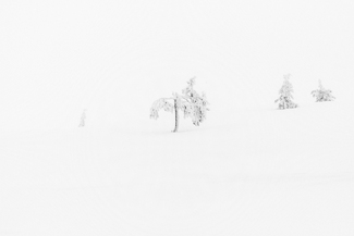 Whiteout I