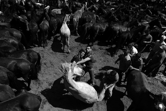 Rapa das Bestas Rapa das Bestas