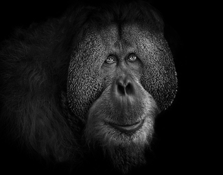 Beyond Dark Beyond Dark