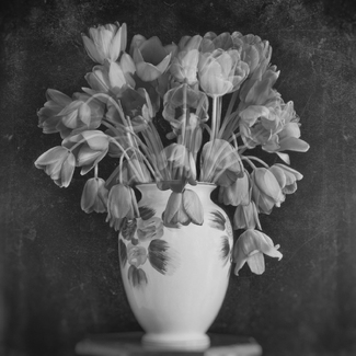 stillness speaks stillness speaks