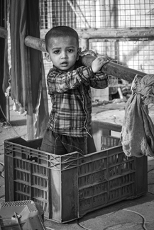 Imagination Imagination