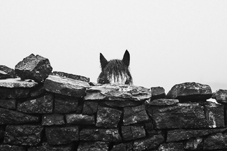 Brecon Beacons 17 Brecon Beacons 17