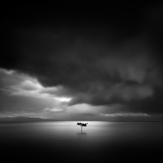 In loneliness In loneliness