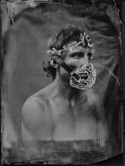 Crystal Hannibal Crystal Hannibal