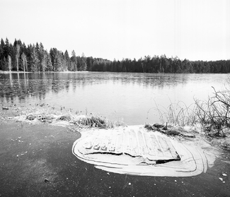 In Search of Silence - Etang de Gruere In Search of Silence - Etang de Gruere