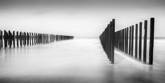 Moules de bouchot - Wissant, Côte d'Opale,France, 2017 Moules de bouchot - Wissant, Côte d'Opale,France, 2017