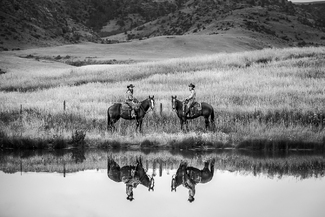 Distraction At The Water Hole Distraction At The Water Hole