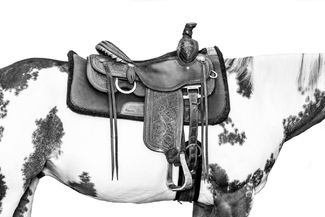 Perfect Rustic Harmony Perfect Rustic Harmony