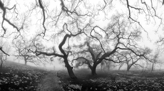 Malibu after the fires Malibu after the fires