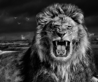 The Lion King The Lion King