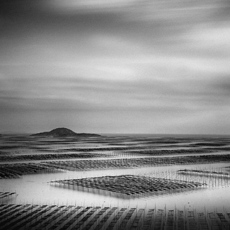Seaweed Farm  Seaweed Farm