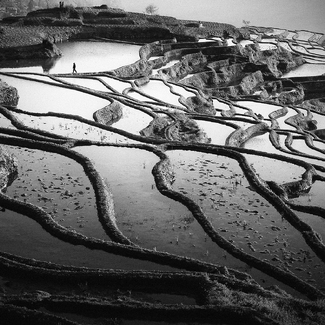 Terraced Field  Terraced Field
