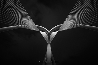 Flying Phoenix Flying Phoenix