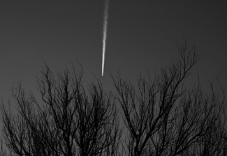 Late Evening Contrail Over Nebraska Cottonwoods