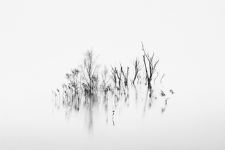 Life & Death Life & Death