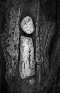 Wooden Spirit