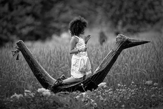 Time to fly Time to fly