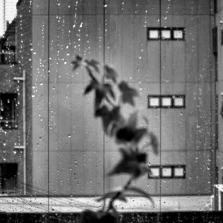 A Rainy Day A Rainy Day