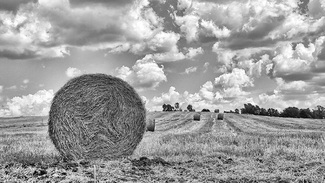 Rural landscape Rural landscape