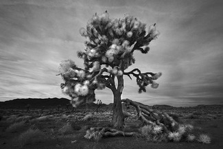 Storm Damage Storm Damage