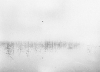 Flight in Fog Flight in Fog