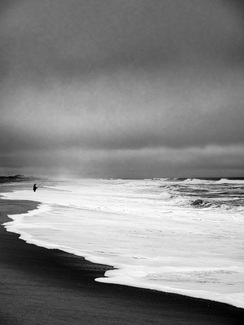 Fishing on Shore Fishing on Shore